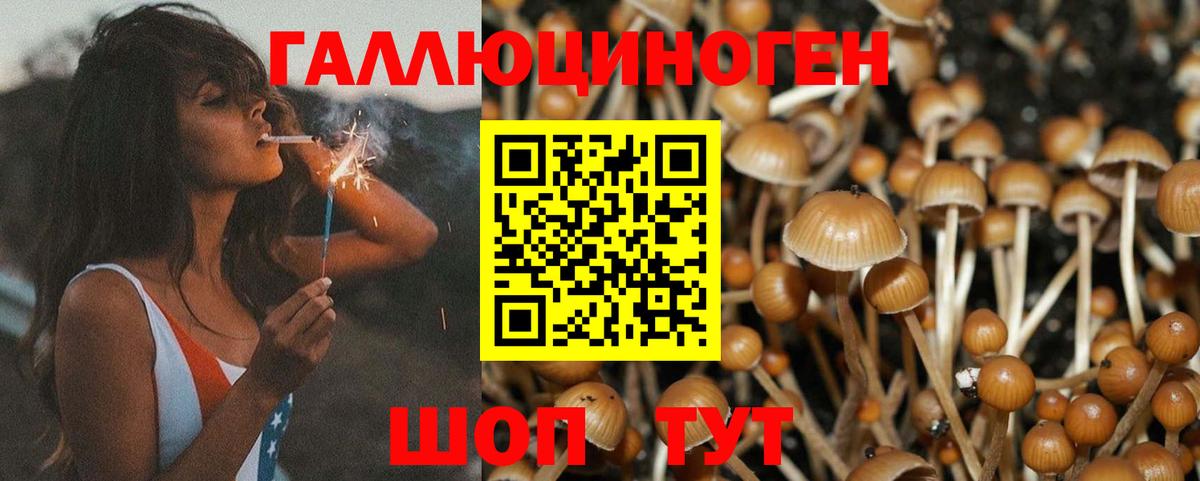 Псилоцибиновые грибы MAGIC MUSHROOMS Чусовой