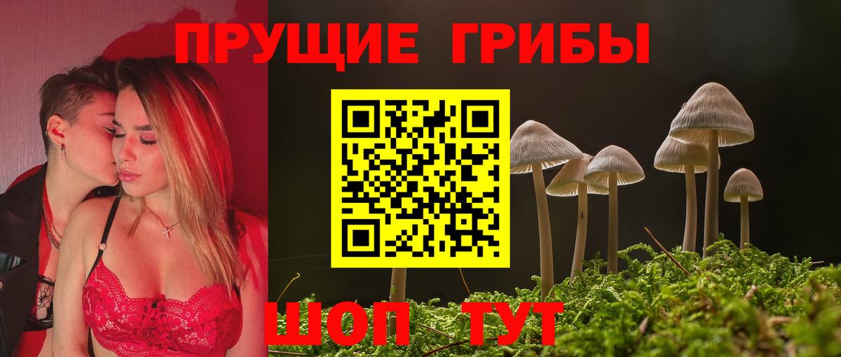 Псилоцибиновые грибы ЛСД  Вход с VPN  Чусовой  что такое   Псилоцибиновые грибы ЛСД 